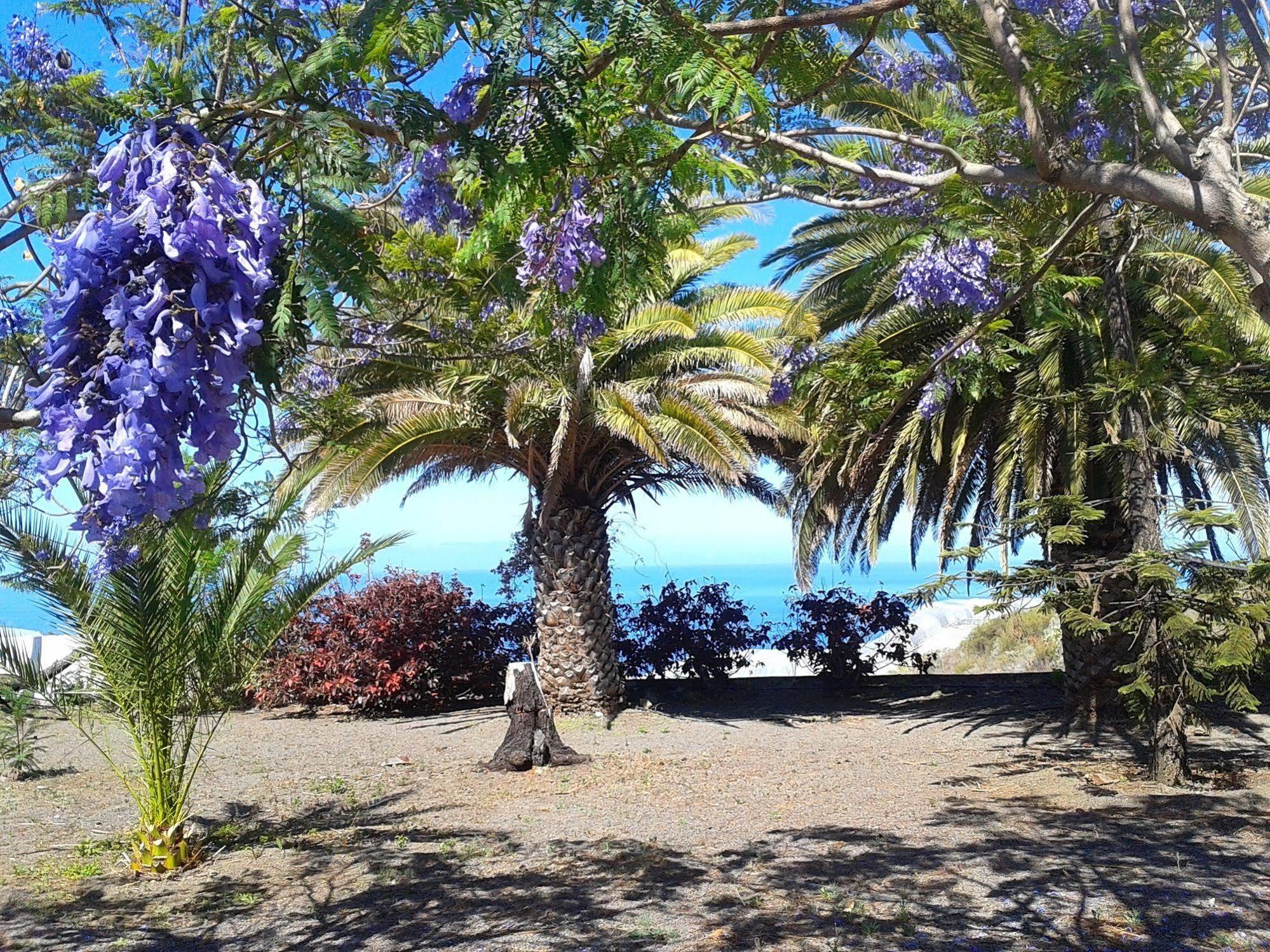 Appartamento La Palma Sun Nudist Todoque Esterno foto