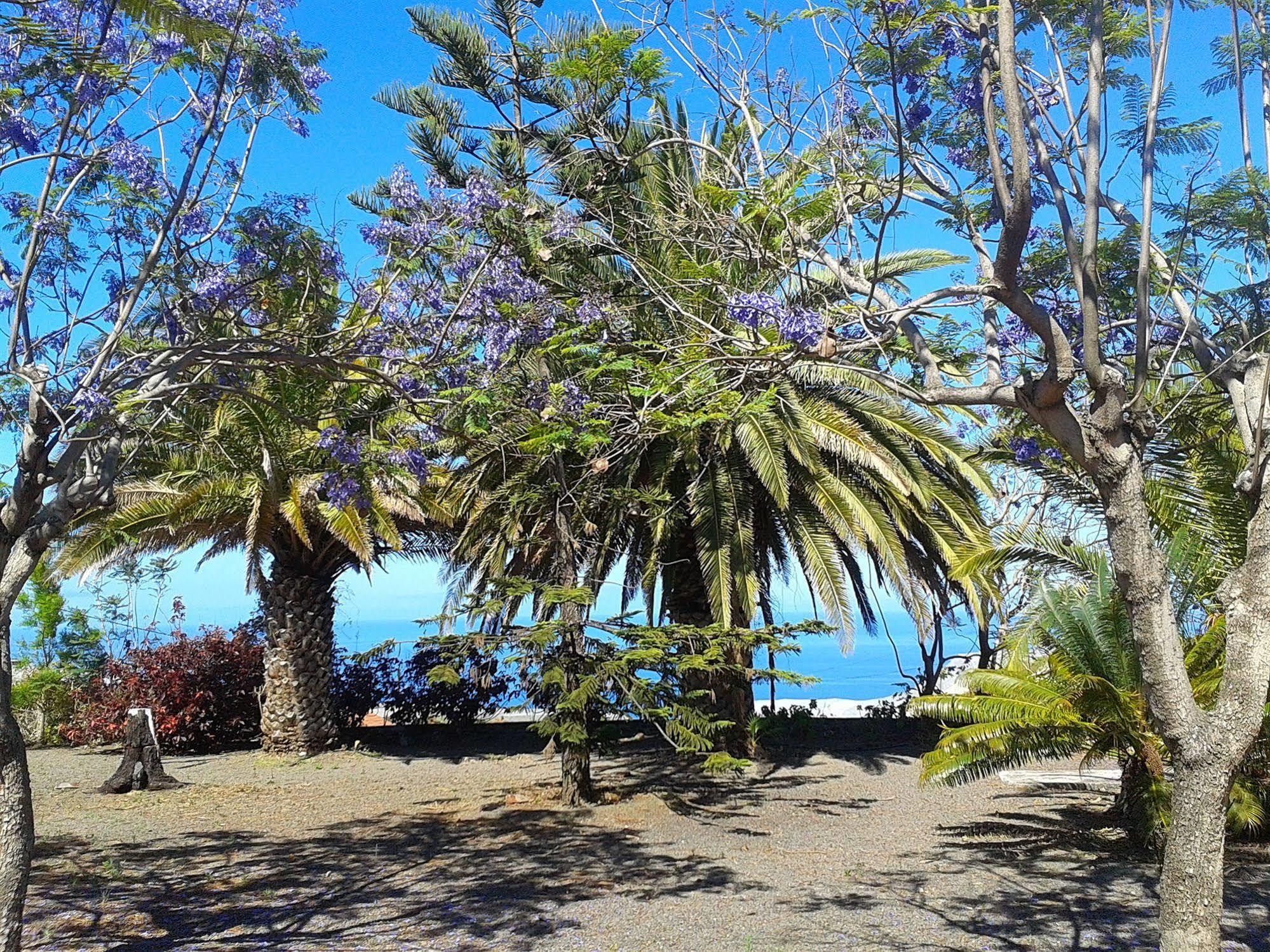 Appartamento La Palma Sun Nudist Todoque Esterno foto